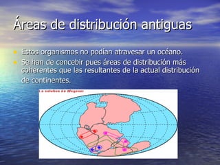 Áreas de distribución antiguas Estos organismos no podían atravesar un océano. Se han de concebir pues áreas de distribución más coherentes que las resultantes de la actual distribución de continentes.   
