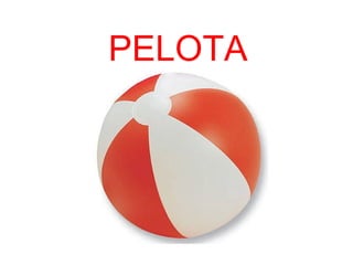 PELOTA
 