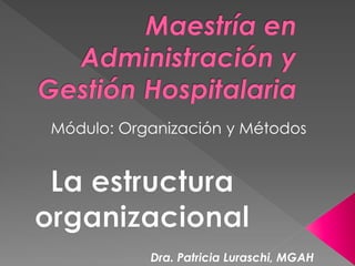 Dra. Patricia Luraschi, MGAH
Módulo: Organización y Métodos
 