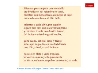 Soneto
      Mientras por competir con tu cabello
      oro bruñido el sol relumbra en vano,
      mientras con menosprecio en medio el llano
      mira tu blanca frente el lilio bello;

      mientras a cada labio, por cogello,
      siguen más ojos que al clavel temprano,
      y mientras triunfa con desdén lozano
      del luciente cristal tu gentil cuello;

      goza cuello, cabello, labio y frente,
      antes que lo que fue en tu edad dorada
      oro, lilio, clavel, cristal luciente

      no sólo en plata o víola troncada
      se vuelva, mas tú y ello juntamente
      en tierra, en humo, en polvo, en sombra, en nada.

Carmen Andreu- IES Miguel Catalán Curso 2010-2011
 