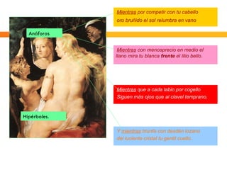 Mientras por competir con tu cabello
              oro bruñido el sol relumbra en vano

  Anáforas

               Mientras con menosprecio en medio el
              llano mira tu blanca frente el lilio bello.




              Mientras que a cada labio por cogello
              Siguen más ojos que al clavel temprano.


Hipérboles.

              Y mientras triunfa con desdén lozano
              del luciente cristal tu gentil cuello..
 