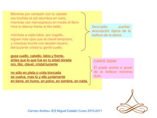Mientras por competir con tu cabello
oro bruñido el sol relumbra en vano,
mientras con menosprecio en medio el llano
mira tu blanca frente el lilio bello;               Descriptio       puellae:
                                                    descripción tópica de la
mientras a cada labio, por cogello,                 belleza de la dama.
siguen más ojos que al clavel temprano,
y mientras triunfa con desdén lozano
del luciente cristal tu gentil cuello;

goza cuello, cabello, labio y frente,
antes que lo que fue en tu edad dorada               CARPE DIEM!
oro, lilio, clavel, cristal luciente
                                                     El poeta anima a gozar
no sólo en plata o víola troncada                    de la belleza mientras
se vuelva, mas tú y ello juntamente                  dure..
en tierra, en humo, en polvo, en sombra, en nada.




          Carmen Andreu- IES Miguel Catalán Curso 2010-2011
 