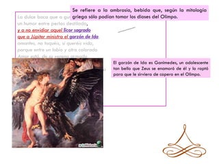 Se refiere a la ambrosía, bebida que, según la mitología
La dulce boca que a gustar convida podían tomar los dioses del Olimpo.
                            griega sólo
un humor entre perlas destilado,
y a no envidiar aquel licor sagrado
que a Júpiter ministra el garzón de Ida,
amantes, no toquéis, si queréis vida,
porque entre un labio y otro colorado
Amor está, de su veneno armado,
cual entre flor y flor sierpe escondida.     El garzón de Ida es Ganimedes, un adolescente
Nos os engañen las rosas que a la Aurora tan bello que Zeus se enamoró de él y lo raptó
diréis que, aljofaradas y olorosas           para que le sirviera de copero en el Olimpo.
se le cayeron del purpúreo seno;
manzanas son de Tántalo y no rosas,
que después huyen del que incitan ahora,
y sólo del Amor queda el veneno.
 