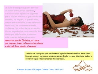 La dulce boca que a gustar convida
un humor entre perlas destilado,
y a no envidiar aquel licor sagrado
que a Júpiter ministra el garzón de Ida,
amantes, no toquéis, si queréis vida,
porque entre un labio y otro colorado
Amor está, de su veneno armado,
cual entre flor y flor sierpe escondida.
Nos os engañen las rosas que a la Aurora
diréis que, aljofaradas y olorosas
se le cayeron del purpúreo seno;
manzanas son de Tántalo y no rosas,
que después huyen del que incitan ahora,
y sólo del Amor queda el veneno.

                    Tántalo fue castigado por los dioses al suplicio de estar metido en un tonel
                    lleno de agua y cercano a unas manzanas. Cada vez que intentaba beber o
                    comer el agua y las manzanas desaparecían.



            Carmen Andreu- IES Miguel Catalán Curso 2010-2011
 