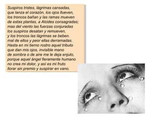 Suspiros tristes, lágrimas cansadas,
que lanza el corazón, los ojos llueven,
los troncos bañan y las ramas mueven
de estas plantas, a Alcides consagradas;
mas del viento las fuerzas conjuradas
los suspiros desatan y remueven,
y los troncos las lágrimas se beben.
mal de ellos y peor ellas derramadas.
Hasta en mi tierno rostro aquel tributo
que dan mis ojos, invisible mano
de sombra o de aire me le deja enjuto,
porque aquel ángel fieramente humano
no crea mi dolor, y así es mi fruto
llorar sin premio y suspirar en vano.
 