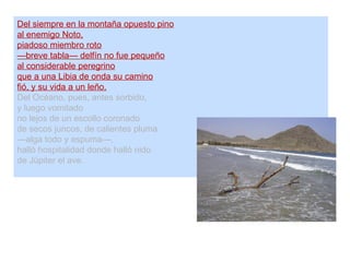Del siempre en la montaña opuesto pino
al enemigo Noto,
piadoso miembro roto
—breve tabla— delfín no fue pequeño
al considerable peregrino
que a una Libia de onda su camino
fió, y su vida a un leño.
Del Océano, pues, antes sorbido,
y luego vomitado
no lejos de un escollo coronado
de secos juncos, de calientes pluma
—alga todo y espuma—,
halló hospitalidad donde halló nido
de Júpiter el ave.
 