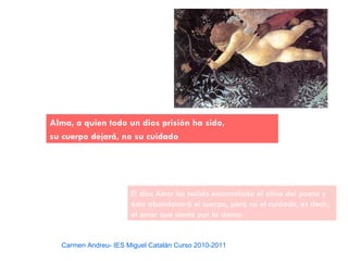 Alma, a quien todo un dios prisión ha sido,
su cuerpo dejará, no su cuidado




                      El dios Amor ha tenido encarcelada el alma del poeta y
                      ésta abandonará el cuerpo, pero no el cuidado, es decir,
                      el amor que siente por la dama.


  Carmen Andreu- IES Miguel Catalán Curso 2010-2011
 