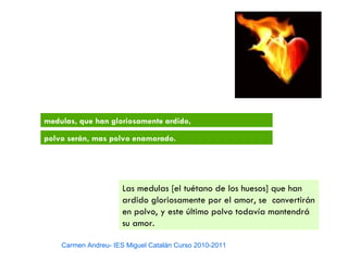 medulas, que han gloriosamente ardido,

polvo serán, mas polvo enamorado.




                      Las medulas [el tuétano de los huesos] que han
                      ardido gloriosamente por el amor, se convertirán
                      en polvo, y este último polvo todavía mantendrá
                      su amor.

    Carmen Andreu- IES Miguel Catalán Curso 2010-2011
 