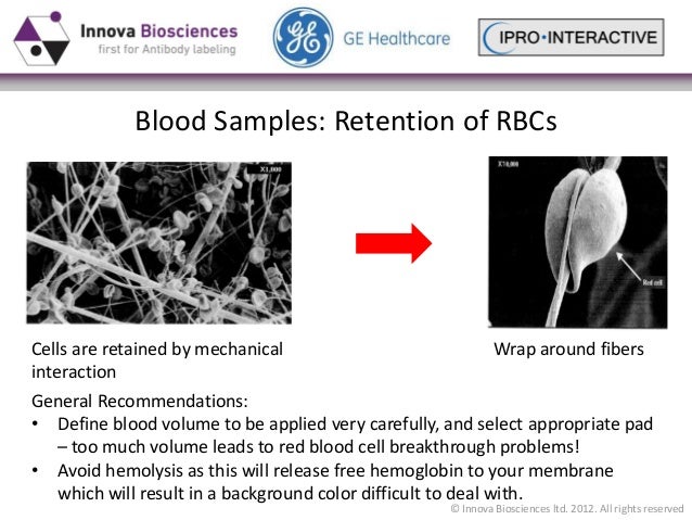 Cellular blockers examples pdf - cellular blockers help prevent heartburn