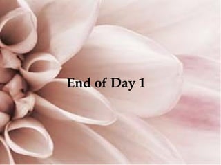 End of Day 1
 