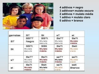 4 aditivos = negro 3 aditivos= mulato escuro 2 aditivos = mulato média 1 aditivo = mulato claro 0 aditivo = branco 
