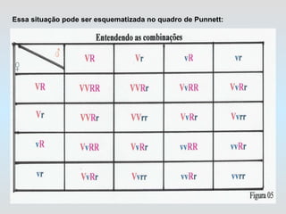 Essa situação pode ser esquematizada no quadro de Punnett: 