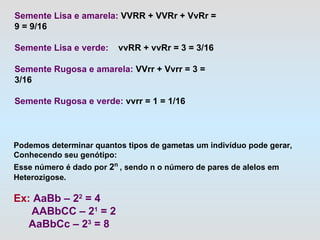 Semente Lisa e amarela:  VVRR + VVRr + VvRr = 9 = 9/16   Semente Lisa e verde:     vvRR + vvRr = 3 = 3/16 Semente Rugosa e amarela:  VVrr + Vvrr = 3 = 3/16 Semente Rugosa e verde:  vvrr = 1 = 1/16 Podemos determinar quantos tipos de gametas um indivíduo pode gerar, Conhecendo seu genótipo: Esse número é dado por  2 n  , sendo n o número de pares de alelos em  Heterozigose. Ex:  AaBb – 2 2  = 4 AABbCC – 2 1  = 2 AaBbCc – 2 3  = 8 