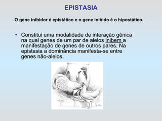 EPISTASIA Constitui uma modalidade de interação gênica na qual genes de um par de alelos  inibem  a manifestação de genes de outros pares. Na epistasia a dominância manifesta-se entre genes não-alelos.   O gene inibidor é epistático e o gene inibido é o hipostático. 