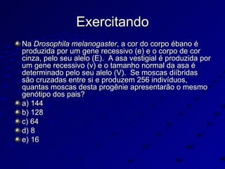 Exercitando Na  Drosophila melanogaster , a cor do corpo ébano é produzida por um gene recessivo (e) e o corpo de cor cinza, pelo seu alelo (E).  A asa vestigial é produzida por um gene recessivo (v) e o tamanho normal da asa é determinado pelo seu alelo (V).  Se moscas diíbridas são cruzadas entre si e produzem 256 indivíduos, quantas moscas desta progênie apresentarão o mesmo genótipo dos pais? a) 144 b) 128 c) 64 d) 8 e) 16 