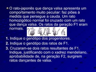 O rato-japonês que dança valsa apresenta um comportamento muito peculiar: faz piões à medida que persegue a cauda. Um rato homozigótico normal foi cruzado com um rato que dança valsa. Os ratos da geração F1 eram normais. 1.  Indique o genótipo dos progenitores. 2.  Indique o genótipo dos ratos de F1. 3.  Cruzaram-se dois ratos resultantes de F1. Indique, justificando com o xadrez mendeliano, aprobabilidade de, na geração F2, surgirem ratos dançantes de valsa. 