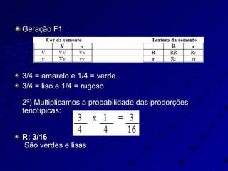 Geração F1   3/4 = amarelo e 1/4 = verde 3/4 = liso e 1/4 = rugoso 2º) Multiplicamos a probabilidade das proporções fenotípicas:   R: 3/16  São verdes e lisas 