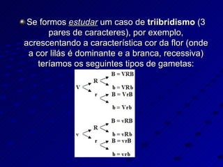 Se formos  estudar  um caso de  triibridismo  (3 pares de caracteres), por exemplo, acrescentando a característica cor da flor (onde a cor lilás é dominante e a branca, recessiva) teríamos os seguintes tipos de gametas: 