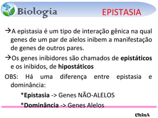 EPISTASIA A epistasia é um tipo de interação gênica na qual genes de um par de alelos inibem a manifestação de genes de outros pares.  Os genes inibidores são chamados de  epistáticos  e os inibidos, de  hipostáticos OBS: Há uma diferença entre epistasia e dominância: * Epistasia  -> Genes NÃO-ALELOS * Dominância  -> Genes Alelos 