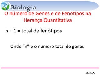 O número de Genes e de Fenótipos na Herança Quantitativa n + 1 = total de fenótipos Onde “n” é o número total de genes 