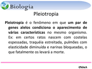 Pleiotropia Pleiotropia  é o fenômeno em que  um par de genes alelos condiciona o aparecimento de várias características  no mesmo organismo. Ex: em certos ratos nascem com costelas espessadas, traquéia estreitada, pulmões com elasticidade diminuída e narinas bloqueadas, o que fatalmente os levará a morte.  