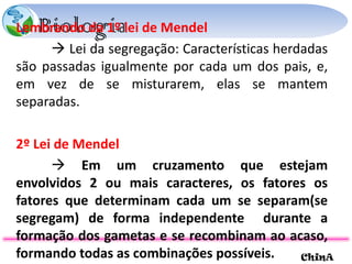 Lembrando da 1º lei de Mendel    Lei da segregação: Características herdadas são passadas igualmente por cada um dos pais, e, em vez de se misturarem, elas se mantem separadas. 2º Lei de Mendel    Em um cruzamento que estejam envolvidos 2 ou mais caracteres, os fatores os fatores que determinam cada um se separam(se segregam) de forma independente  durante a formação dos gametas e se recombinam ao acaso, formando todas as combinações possíveis.  