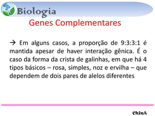 Genes Complementares    Em alguns casos, a proporção de 9:3:3:1 é mantida apesar de haver interação gênica. É o caso da forma da crista de galinhas, em que há 4 tipos básicos – rosa, simples, noz e ervilha – que dependem de dois pares de alelos diferentes 
