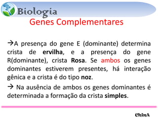 Genes Complementares A presença do gene E (dominante) determina crista de  ervilha , e a presença do gene R(dominante), crista  Rosa . Se  ambos  os genes dominantes estiverem presentes, há interação gênica e a crista é do tipo  noz .  Na ausência de ambos os genes dominantes é determinada a formação da crista  simples .  