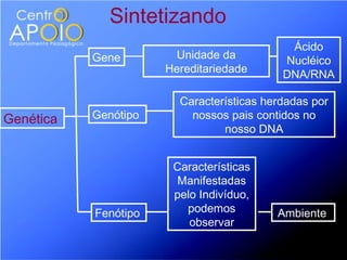 Sintetizando
                                            Ácido
           Gene         Unidade da         Nucléico
                      Hereditariedade      DNA/RNA

                        Características herdadas por
Genética   Genótipo       nossos pais contidos no
                                nosso DNA


                       Características
                        Manifestadas
                       pelo Indivíduo,
           Fenótipo      podemos          Ambiente
                          observar
 