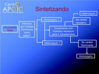 Sintetizando
                                                                 Heterozigoto

                              Homozigoto ?                  Se caráter
               Individuo                                    recessivo
Cruzamento   com Caráter
                                      Cruzamento com
   Teste      Dominante
                                     Individuo recessivo
                 como
                                    para X característica
                saber?


                              Heterozigoto ?                    Se caráter
                                                                Dominante



                                                              Homozigoto
 