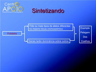 Sintetizando

             Três ou mais tipos de alelos diferentes
             no mesmo lócus cromossômico               Exemplo

Polialelia                                             Pelagem
                                                        Dos
             Genes terão dominância sobre outros       Coelhos
 