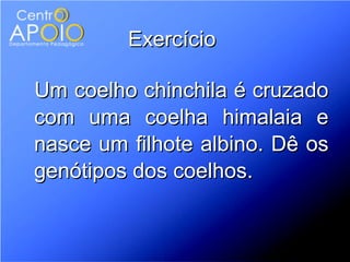 Exercício

Um coelho chinchila é cruzado
com uma coelha himalaia e
nasce um filhote albino. Dê os
genótipos dos coelhos.
 
