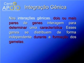 Integração Gênica

Nas interações gênicas, dois ou mais
pares de genes interagem para
determinar uma característica. Esses
genes se distribuem de forma
independente durante a formação dos
gametas.
 