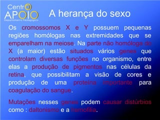 A herança do sexo
Os cromossomos X e Y possuem pequenas
regiões homólogas nas extremidades que se
emparelham na meiose. Na parte não homóloga do
X (a maior) estão situados vários genes que
controlam diversas funções no organismo, entre
elas a produção de pigmentos nas células da
retina, que possibilitam a visão de cores e
produção de uma proteína importante para
coagulação do sangue.
Mutações nesses genes podem causar distúrbios
como : daltonismo e a hemofilia.
 