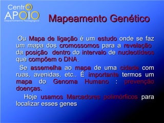 Mapeamento Genético
 Ou Mapa de ligação é um estudo onde se faz
um mapa dos cromossomos para a revelação
da posição dentro do intervalo de nucleotídeos
que compõem o DNA.
  Se assemelha ao mapa de uma cidade com
ruas, avenidas, etc.. É importante termos um
mapa do Genoma Humano : prevenção
doenças.
   Hoje usamos Marcadores polimórficos para
localizar esses genes
 