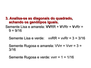3. Analisa-se as diagonais do quadrado,3. Analisa-se as diagonais do quadrado,
achando os genótipos iguais.achando os genótipos iguais.
Semente Lisa e amarela:Semente Lisa e amarela: VVVVRR +RR + VVVRr +VRr + VVvRr =vRr =
9 = 9/169 = 9/16
Semente Lisa e verde: vvRR + vvRr = 3 = 3/16Semente Lisa e verde: vvRR + vvRr = 3 = 3/16
Semente Rugosa e amarela: VVrr + Vvrr = 3 =Semente Rugosa e amarela: VVrr + Vvrr = 3 =
3/163/16
Semente Rugosa e verde: vvrr = 1 = 1/16Semente Rugosa e verde: vvrr = 1 = 1/16
 