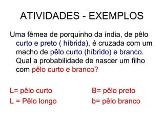 ATIVIDADES - EXEMPLOS
Uma fêmea de porquinho da índia, de pêlo
curto e preto ( híbrida), é cruzada com um
macho de pêlo curto (híbrido) e branco.
Qual a probabilidade de nascer um filho
com pêlo curto e branco?
L= pêlo curto B= pêlo preto
L = Pêlo longo b= pêlo branco
 