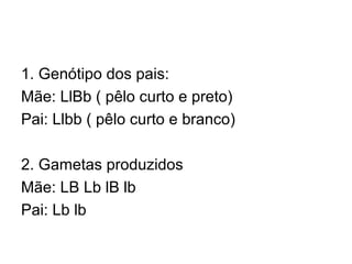 1. Genótipo dos pais:
Mãe: LlBb ( pêlo curto e preto)
Pai: Llbb ( pêlo curto e branco)
2. Gametas produzidos
Mãe: LB Lb lB lb
Pai: Lb lb
 