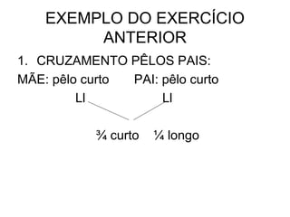 EXEMPLO DO EXERCÍCIO
ANTERIOR
1. CRUZAMENTO PÊLOS PAIS:
MÃE: pêlo curto PAI: pêlo curto
Ll Ll
¾ curto ¼ longo
 