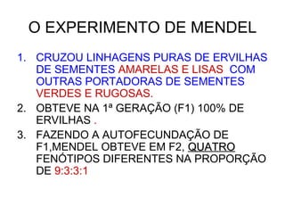 O EXPERIMENTO DE MENDEL
1. CRUZOU LINHAGENS PURAS DE ERVILHAS
DE SEMENTES AMARELAS E LISAS COM
OUTRAS PORTADORAS DE SEMENTES
VERDES E RUGOSAS.
2. OBTEVE NA 1ª GERAÇÃO (F1) 100% DE
ERVILHAS .
3. FAZENDO A AUTOFECUNDAÇÃO DE
F1,MENDEL OBTEVE EM F2, QUATROQUATRO
FENÓTIPOS DIFERENTES NA PROPORÇÃO
DE 9:3:3:1
 