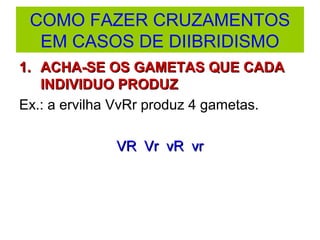COMO FAZER CRUZAMENTOS
EM CASOS DE DIIBRIDISMO
1.1. ACHA-SE OS GAMETAS QUE CADAACHA-SE OS GAMETAS QUE CADA
INDIVIDUO PRODUZINDIVIDUO PRODUZ
Ex.: a ervilha VvRr produz 4 gametas.
VR Vr vR vrVR Vr vR vr
 