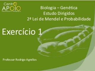 Biologia – Genética
Estudo Dirigidos
2ª Lei de Mendel e Probabilidade

Exercício 1
Professor Rodrigo Agrellos

 