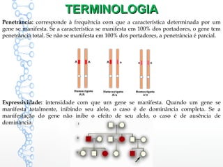 TERMINOLOGIATERMINOLOGIA
Penetrância: corresponde à frequência com que a característica determinada por um
gene se manifesta. Se a característica se manifesta em 100% dos portadores, o gene tem
penetrância total. Se não se manifesta em 100% dos portadores, a penetrância é parcial.
Expressividade: intensidade com que um gene se manifesta. Quando um gene se
manifesta totalmente, inibindo seu alelo, o caso é de dominância completa. Se a
manifestação do gene não inibe o efeito de seu alelo, o caso é de ausência de
dominância.
 