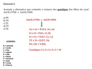 Exercício 2
Assinale a alternativa que contenha o número dos genótipos dos filhos do casal
AaLlCcTTbb x AaLlCcTtbb:
a) 09.
b) 18.
c) 21.
d) 27.
e) 54. Aa x Aa = 3 (AA, Aa, aa)
Ll x Ll = 3 (LL, Ll, ll)
Cc x Cc = 3 (CC, Cc, cc)
TT x Tt = 2 (TT, Tt)
bb x bb = 1 (bb)
Genótipos: 3 x 3 x 3 x 2 x 1 = 54
AaLlCcTTbb x AaLlCcTtbb
LEGENDA:
A = amarela
a = verde
L = lisa
l = rugosa
C = alta
c = baixa
T = terminal
t = axial
B = cinza
b = branca
 