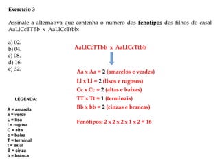 Exercício 3
Assinale a alternativa que contenha o número dos fenótipos dos filhos do casal
AaLlCcTTBb x AaLlCcTtbb:
a) 02.
b) 04.
c) 08.
d) 16.
e) 32.
Aa x Aa = 2 (amarelos e verdes)
Ll x Ll = 2 (lisos e rugosos)
Cc x Cc = 2 (altas e baixas)
TT x Tt = 1 (terminais)
Bb x bb = 2 (cinzas e brancas)
Fenótipos: 2 x 2 x 2 x 1 x 2 = 16
LEGENDA:
A = amarela
a = verde
L = lisa
l = rugosa
C = alta
c = baixa
T = terminal
t = axial
B = cinza
b = branca
AaLlCcTTbb x AaLlCcTtbb
 