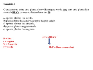 Exercício 5
O cruzamento entre uma planta de ervilha rugosa-verde rrvv com uma planta lisa-
amarela RRVV tem como descendente em F1:
a) apenas plantas lisa-verde.
b) plantas tanto lisa-amarela quanto rugosa-verde.
c) apenas plantas lisa-amarela.
d) apenas plantas rugosa-verde.
e) apenas plantas lisa-rugosas.
R = lisa
r = rugosa
V = Amarela
v = verde
rrvv x RRVV
RrVv (lisas e amarelas)
 