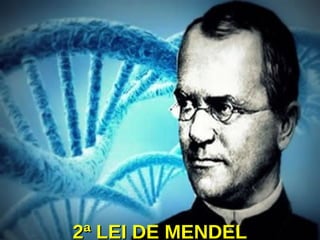2ª LEI DE MENDEL2ª LEI DE MENDEL
 