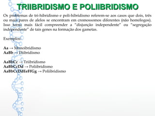 TRIIBRIDISMO E POLIIBRIDISMOTRIIBRIDISMO E POLIIBRIDISMO
Os problemas de tri-hibridismo e poli-hibridismo referem-se aos casos que dois, três
ou mais pares de alelos se encontram em cromossomos diferentes (não homólogos).
Isso torna mais fácil compreender a “disjunção independente” ou “segregação
independente” de tais genes na formação dos gametas.
Exemplos:
Aa → Monoibridismo
AaBb → Diibridismo
AaBbCc → Triibridismo
AaBbCcDd → Poliibridismo
AaBbCcDdEeFfGg → Poliibridismo
 