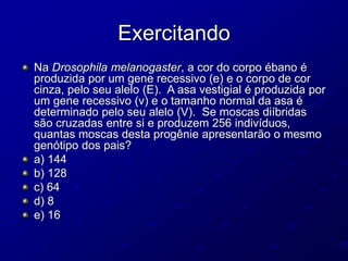 Exercitando
Na Drosophila melanogaster, a cor do corpo ébano é
produzida por um gene recessivo (e) e o corpo de cor
cinza, pelo seu alelo (E). A asa vestigial é produzida por
um gene recessivo (v) e o tamanho normal da asa é
determinado pelo seu alelo (V). Se moscas diíbridas
são cruzadas entre si e produzem 256 indivíduos,
quantas moscas desta progênie apresentarão o mesmo
genótipo dos pais?
a) 144
b) 128
c) 64
d) 8
e) 16
 