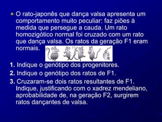 O rato-japonês que dança valsa apresenta um
comportamento muito peculiar: faz piões à
medida que persegue a cauda. Um rato
homozigótico normal foi cruzado com um rato
que dança valsa. Os ratos da geração F1 eram
normais.
1. Indique o genótipo dos progenitores.
2. Indique o genótipo dos ratos de F1.
3. Cruzaram-se dois ratos resultantes de F1.
Indique, justificando com o xadrez mendeliano,
aprobabilidade de, na geração F2, surgirem
ratos dançantes de valsa.
 